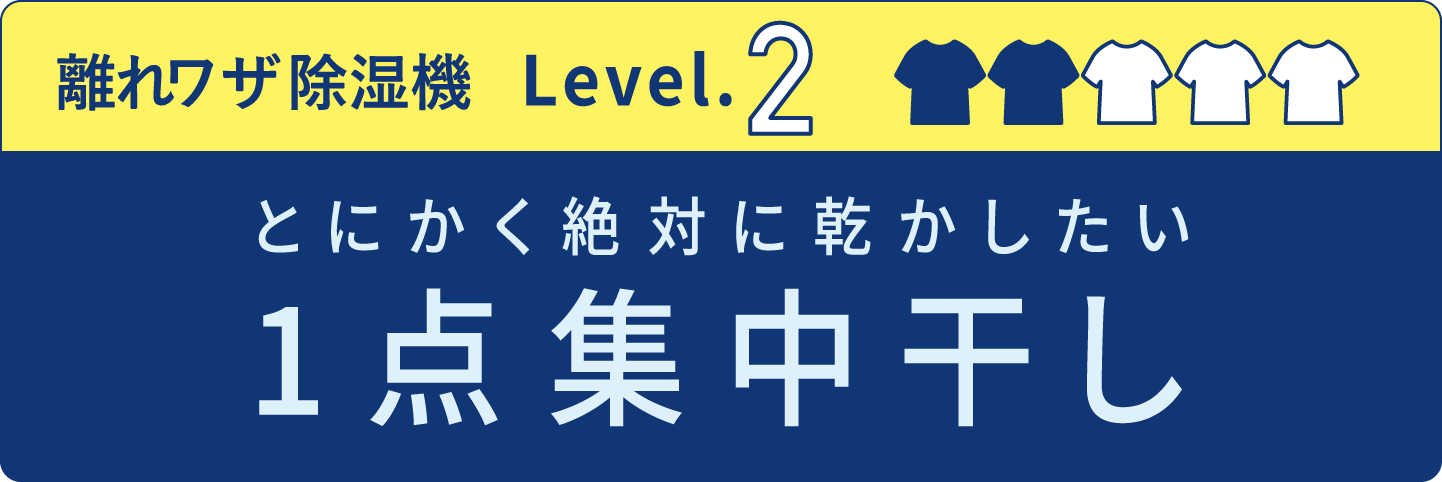 1点集中干し