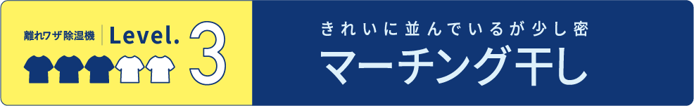 マーチング干し