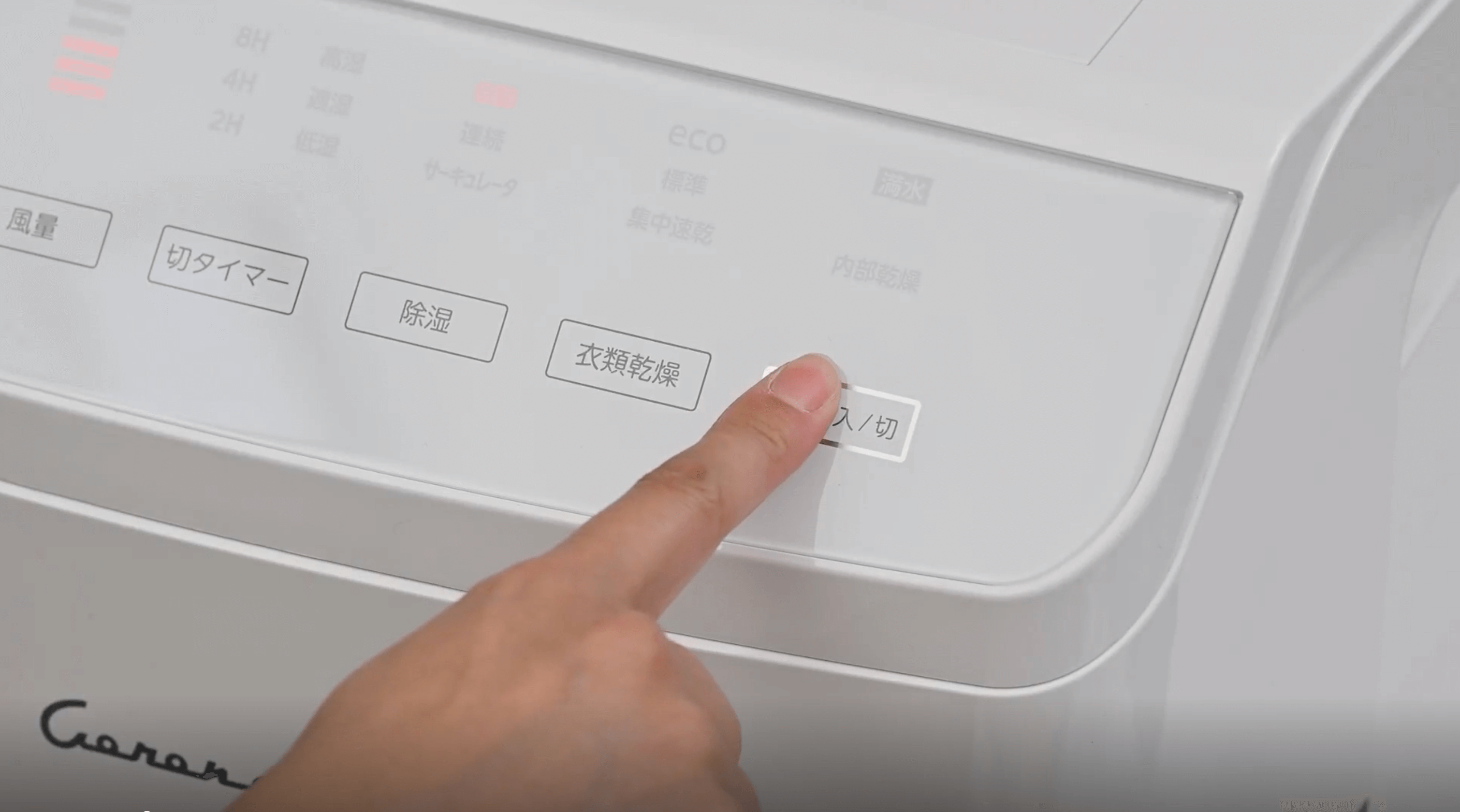 動画のサムネイル