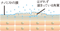 水分100％のマイナスイオンがお肌にベールをつくる。