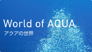 World of AQUA ANA̐E