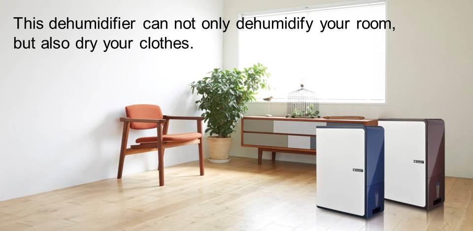 dehumidifier2.jpg